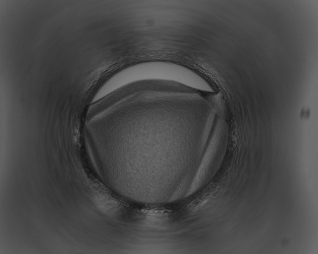 X0000091200693200708301600