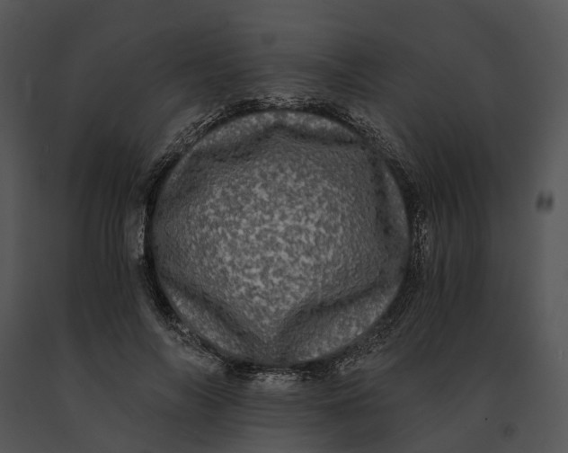 X0000091200694200708301600