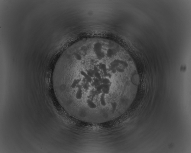 X0000091200695200708301600