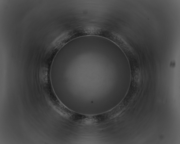 X0000091200696200708301600