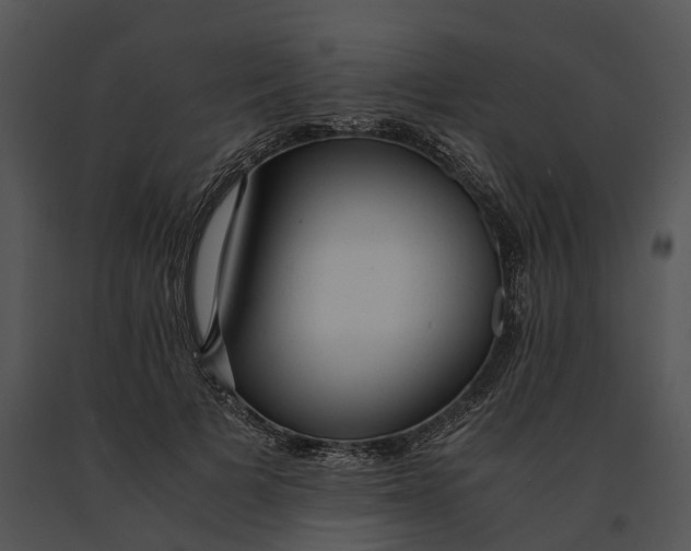X0000091200697200708301600