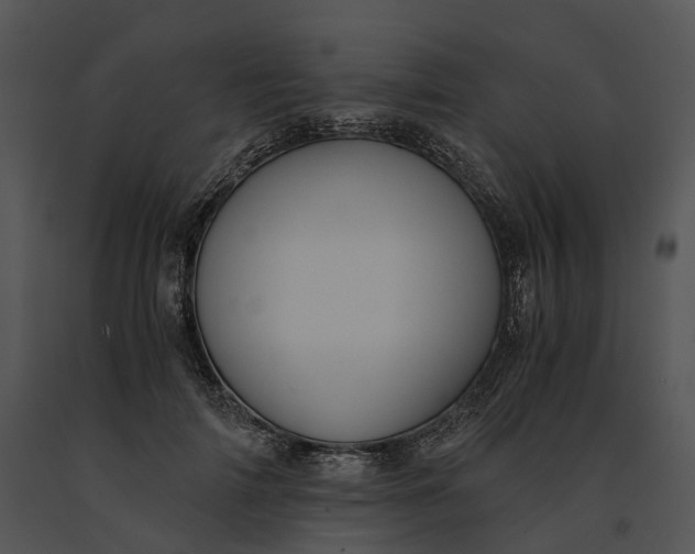 X0000091200698200708301600