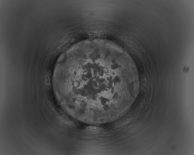 X0000091200699200708301600