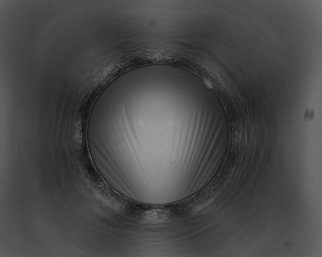 X0000091200700200708301600
