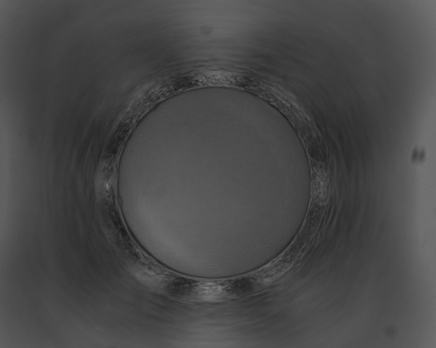 X0000091200701200708301600