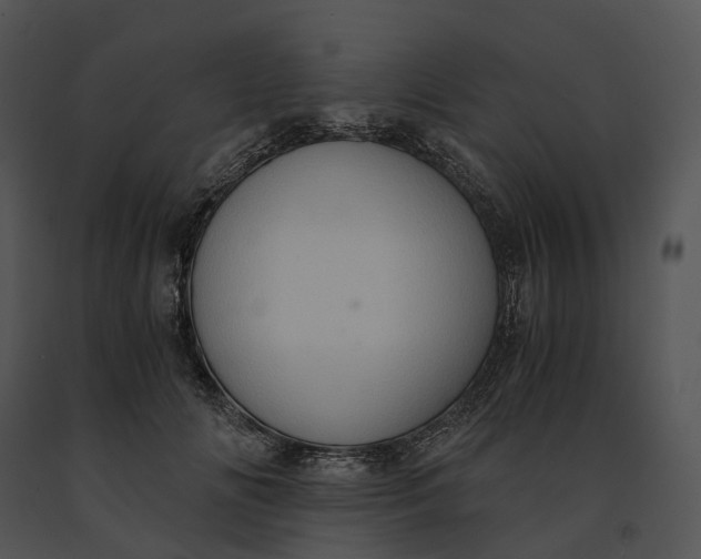 X0000091200702200708301600