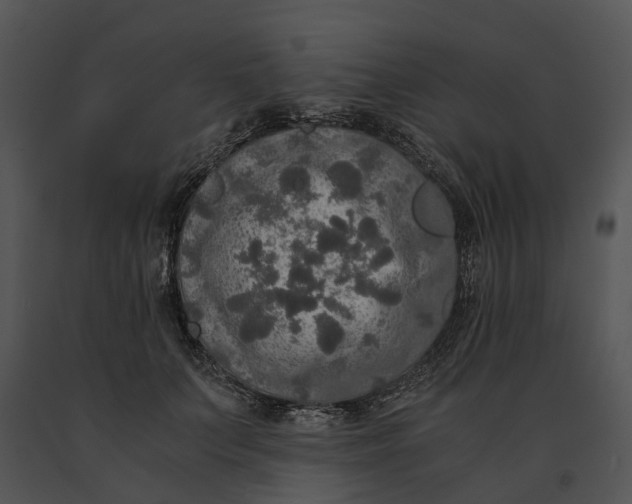 X0000091200703200708301600