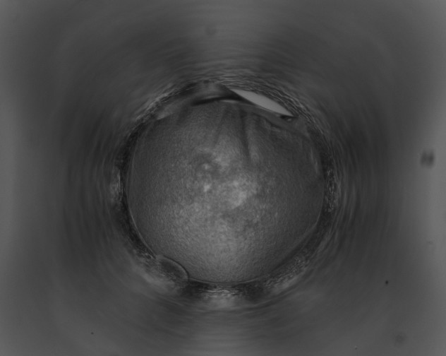 X0000091200704200708301600