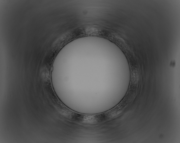 X0000091200705200708301600