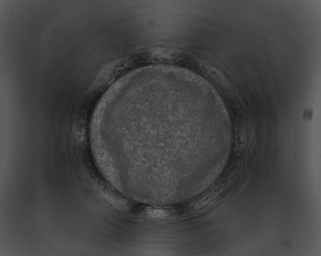 X0000091200706200708301600