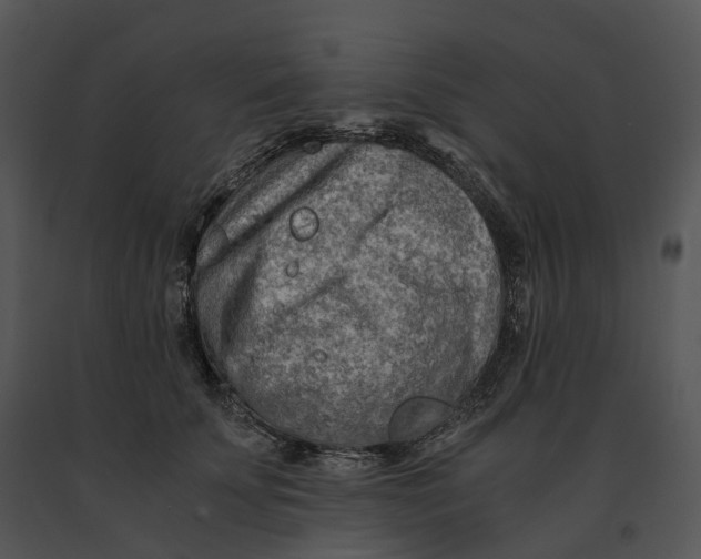 X0000091200707200708301600