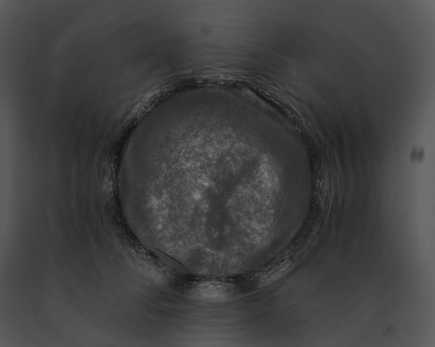 X0000091200708200708301600