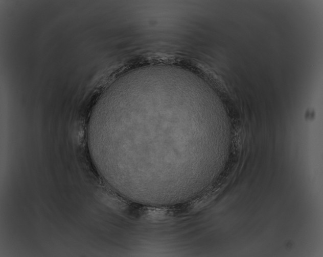 X0000091200709200708301600