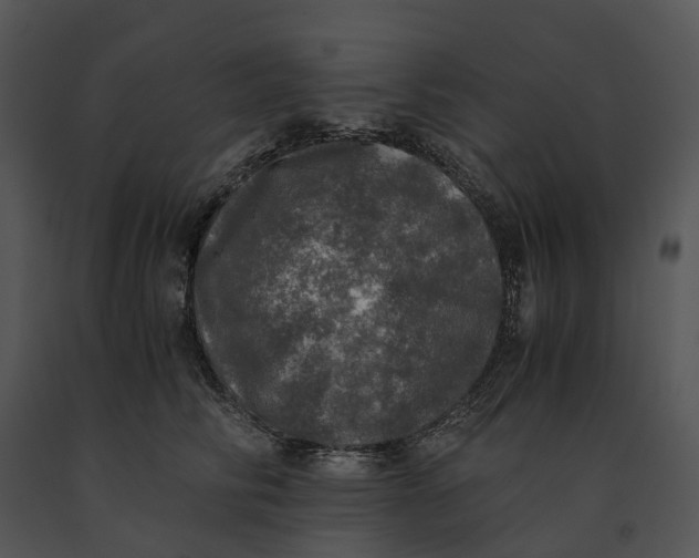 X0000091200710200708301600