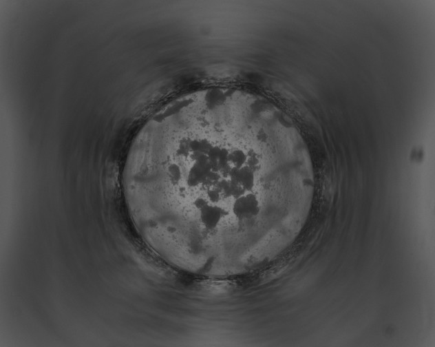 X0000091200711200708301600