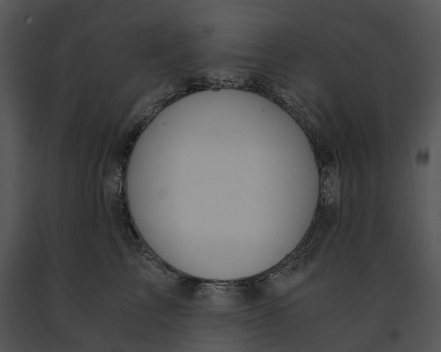 X0000091200713200708301600