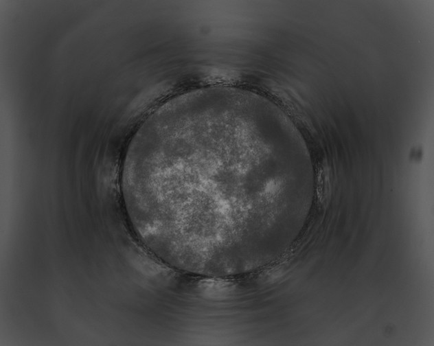 X0000091200714200708301600