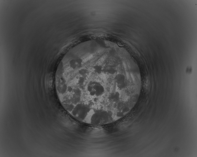 X0000091200715200708301600