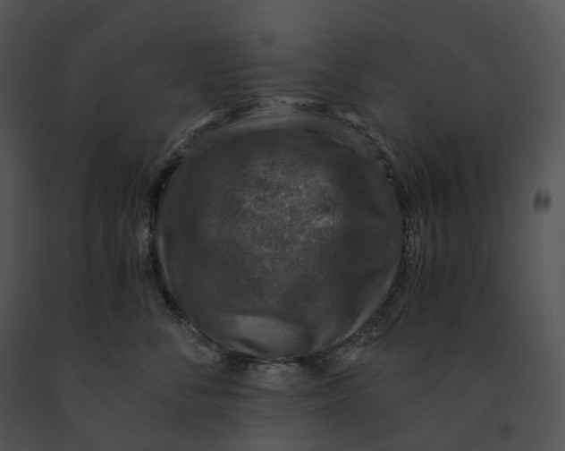X0000091200716200708301600