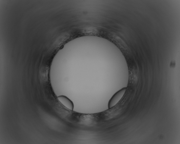 X0000091200717200708301600