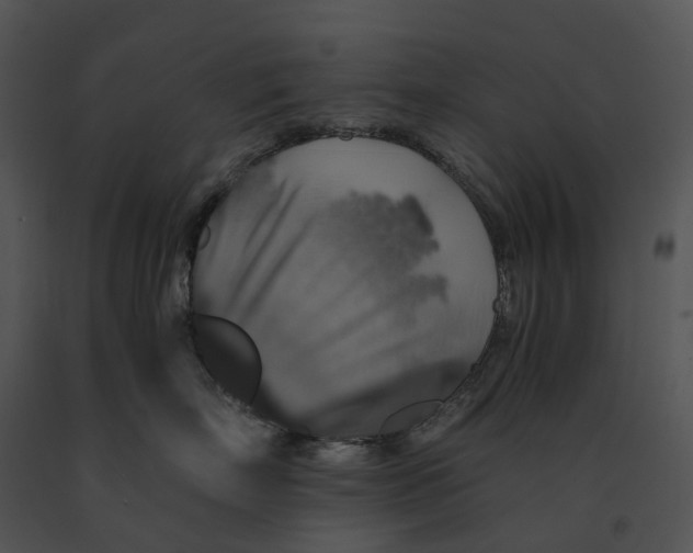 X0000091200718200708301600