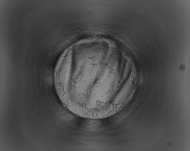 X0000091200719200708301600