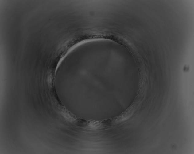 X0000091200720200708301600