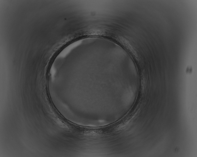 X0000091200721200708301559