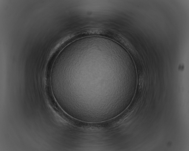 X0000091200722200708301559