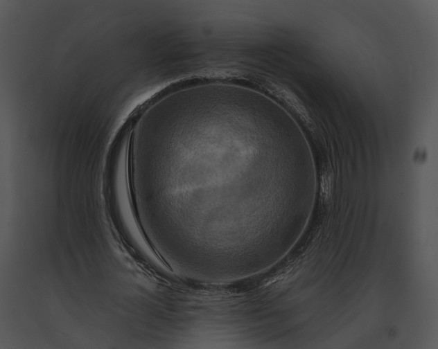 X0000091200724200708301559