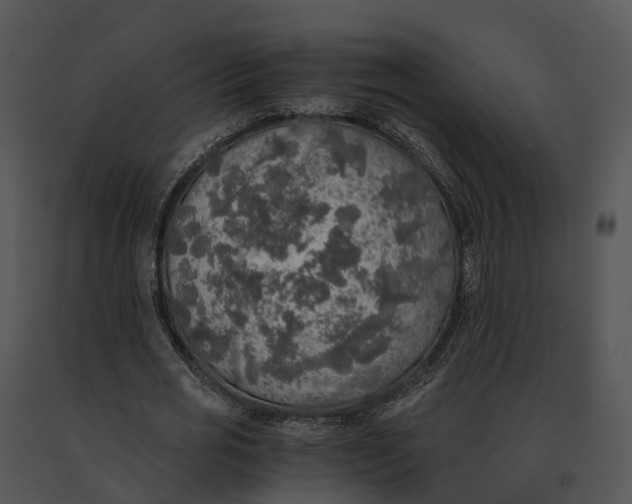 X0000091200725200708301559