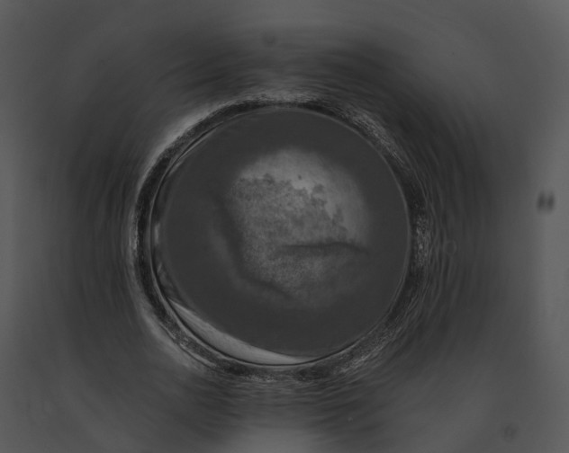 X0000091200726200708301600
