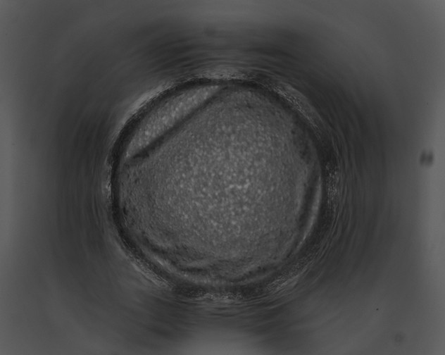 X0000091200727200708301600