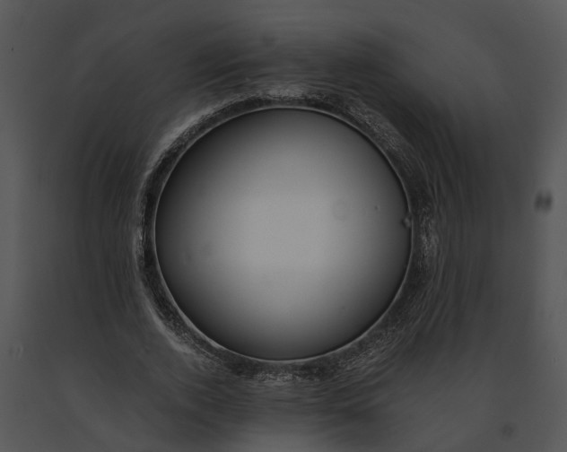 X0000091200728200708301600