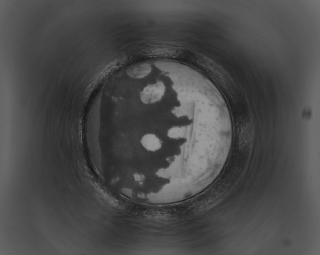 X0000091200729200708301600