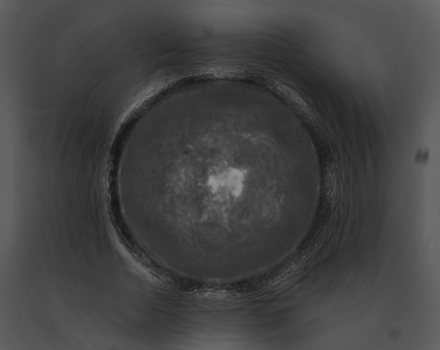 X0000091200730200708301600