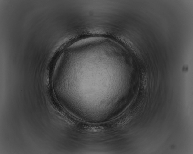 X0000091200731200708301600