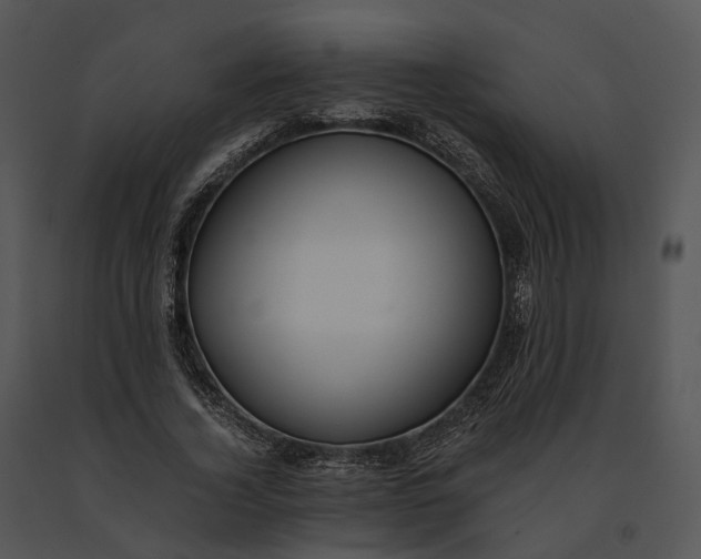 X0000091200732200708301600