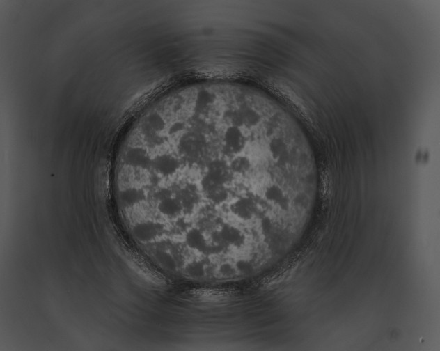 X0000091200733200708301600