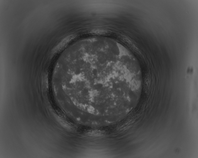 X0000091200734200708301600