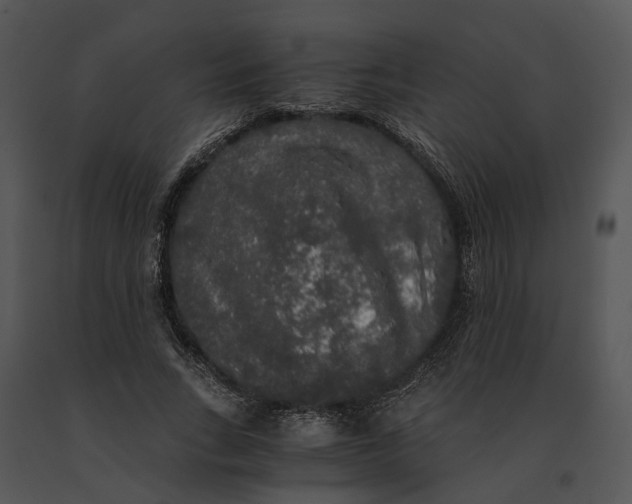 X0000091200735200708301600