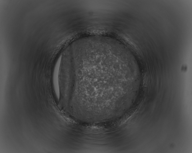 X0000091200737200708301600