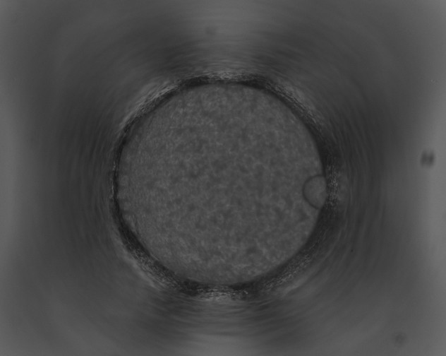 X0000091200738200708301600
