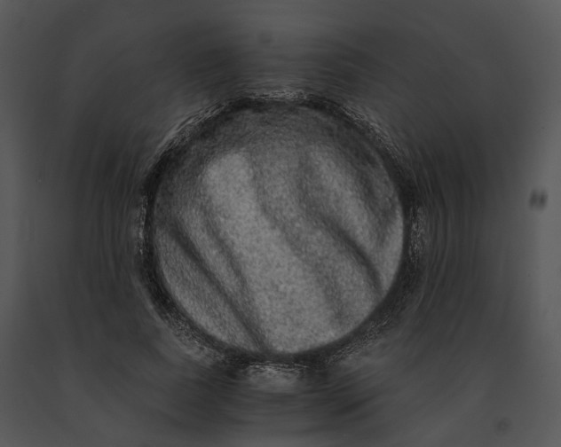 X0000091200739200708301600