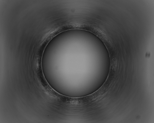 X0000091200740200708301600