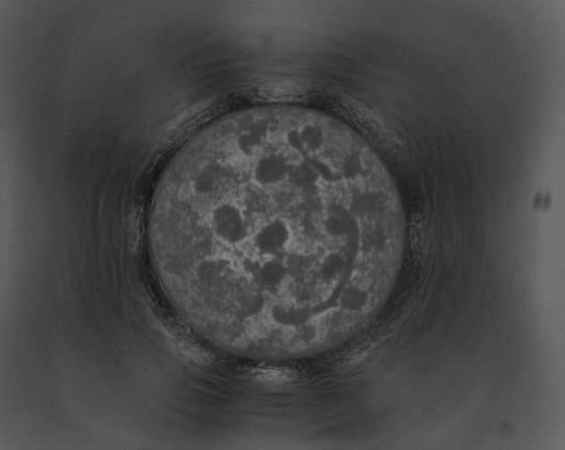 X0000091200741200708301600
