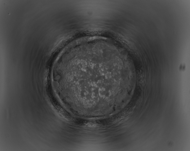 X0000091200742200708301600