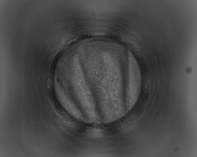 X0000091200743200708301600