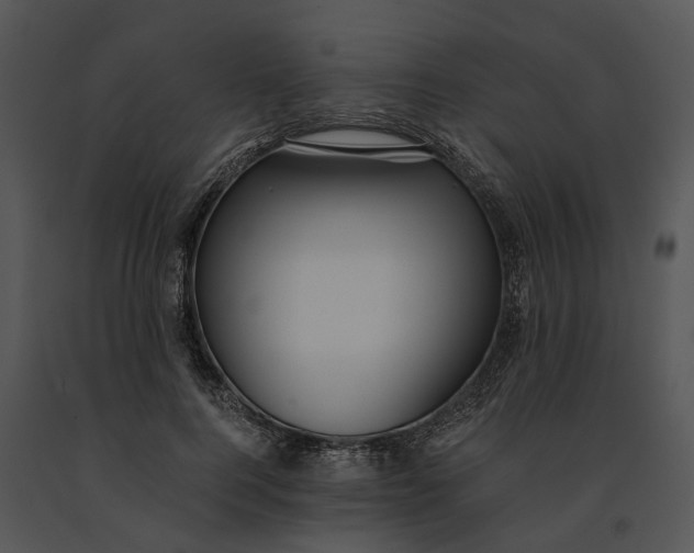 X0000091200744200708301600
