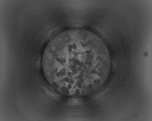X0000091200745200708301600